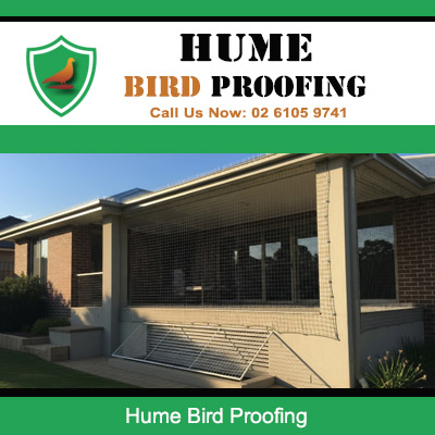 Hume bird proofing services showing black mesh protection installed on brick house exterior